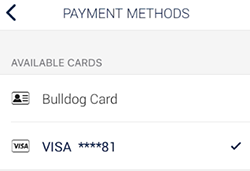 Fetch payment methods